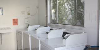 Rye 13506 Gallery 12