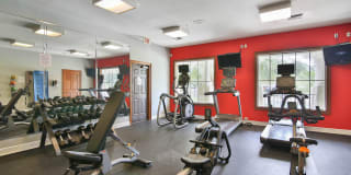 Springs at Palma Sola Gallery 20