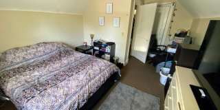 2890 Romana Place Gallery 13