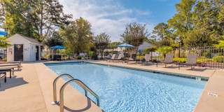 Birch Pond Gallery 9