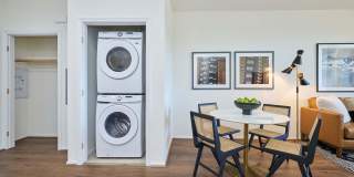 The Willows Gallery 39