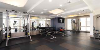 The Triton Gallery 14