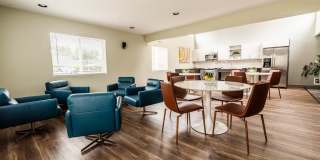 The Lucent Gallery 14