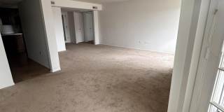 8750 Harrison Avenue unit: 213 Gallery 9