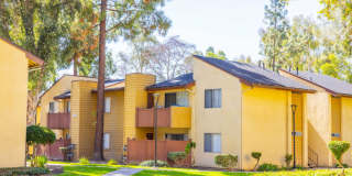 Walnut Ridge Apartments Gallery 8