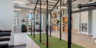 The Odeon Gallery 19