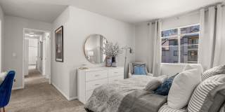 Signature Pointe Signature Pointe Gallery 77