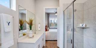 Yardly Elm Gallery 17