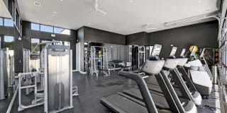 The Saint Mary The Saint Mary Gallery 34