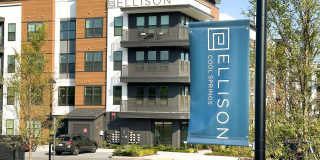 Ellison Cool Springs Gallery 10