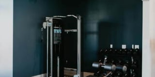 Tanager Tanager Gallery 21