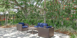 Solana Vista Gallery 19