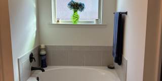 1023 Deer Pass Drive Gallery 19