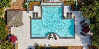 Derby at Steeplechase Gallery 6