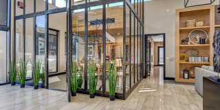 Maverick Gallery 187