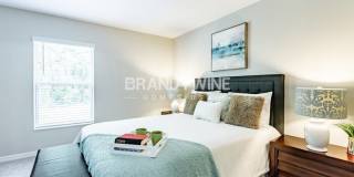 10615 Sweet Sapling Street Gallery 13