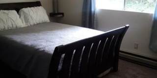 3 Bedroom Single Level Home in Lynnwood Gallery 8