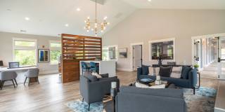 Vue Issaquah Gallery 43