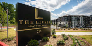 Lively at Drayton Mills Gallery 62