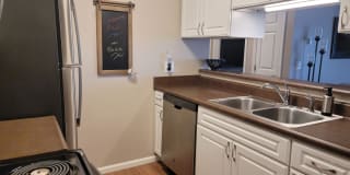 Prairie Tree Gallery 16