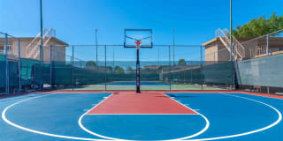 Racquet Club Apartments Gallery 20