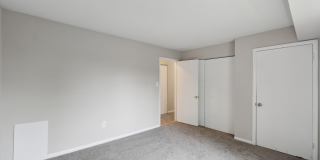 Grove at Alban Gallery 26