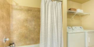 Seasons at Lea Hill Gallery 24