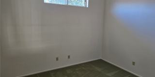 26956 Flo Lane Gallery 30