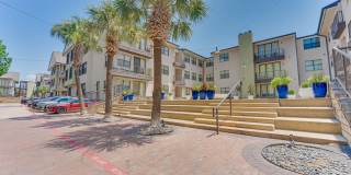 Vue Live Oak Gallery 24