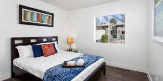 Palm Crest at Station 40 Gallery 11