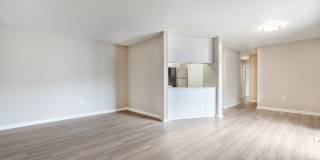 The Dawson Gallery 8