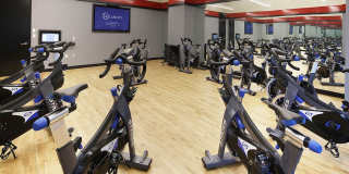 Eugene Eugene Gallery 12