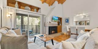 SKI LEASE:  Updated Townhome in Wooded, Central North Lake Location! Gallery 1
