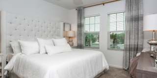Oasis at Shingle Creek Gallery 6