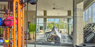 Generation Gallery 9