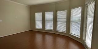 Downtown / Williams Brice area Gallery 4