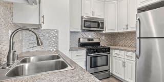 Palms Court Gallery 15