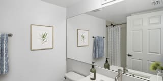 Palm Trace Landings Gallery 96