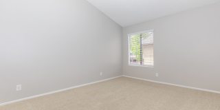 Mountain Springs Gallery 23