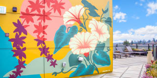 Colina Gallery 17