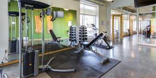 Student Housing - Solhaus Apartments & Tower Gallery 70