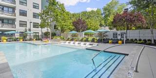 Cortland on Ponce Gallery 1