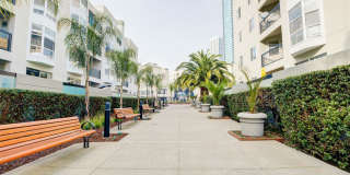 Bayside Village Gallery 40