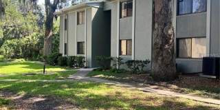 310 PALM COAST Parkway NE Gallery 1