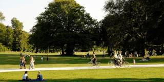 Halo Decatur Gallery 19