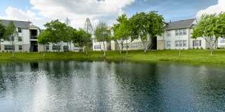 Trails at Loma Gallery 21