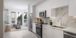 Vivo on Harbor Gallery 15