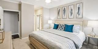 The Saxony Apartments The Saxony Apartments Gallery 49