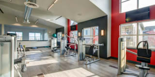Avana One Six Four Gallery 29