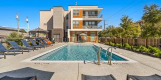 Magnolia at West Lemmon Gallery 41